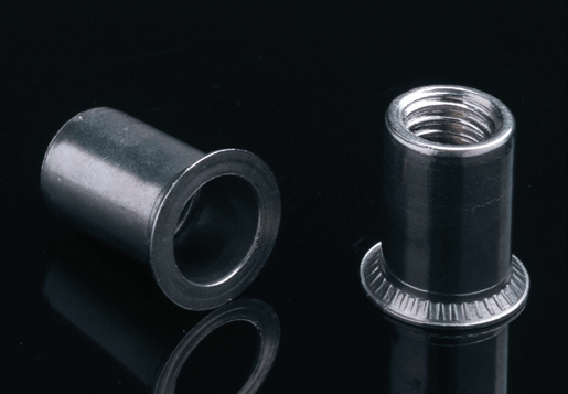 Steel Steel Stainless Caput RIVET Rivet Nuces Open type