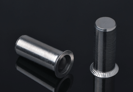 Steel Stainless Caput circum corpus Rivet Nuces clausit finem type
