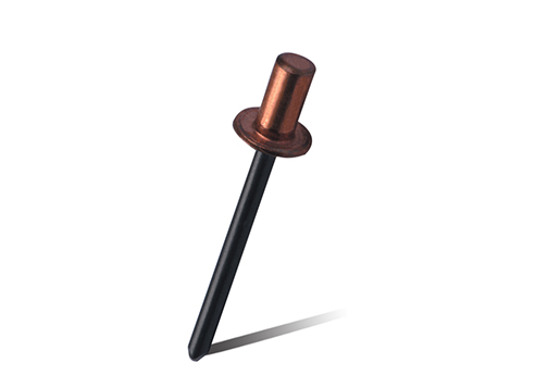 Aeris / Steel signati typus caecus rivets