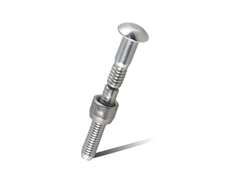 Orbis sulcus Rivet