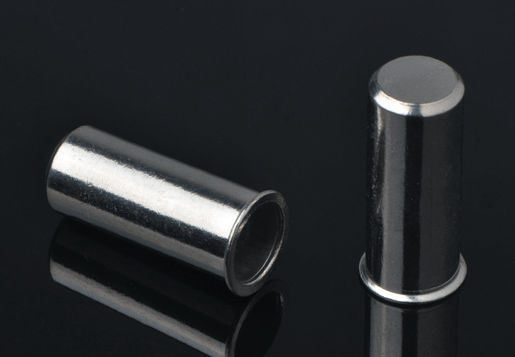 Immaculatam ferro minuere caput undique corpus Rivet nucis clausa finem type