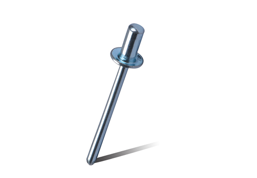 Steel / Steel Signatum Type caecus Rivets